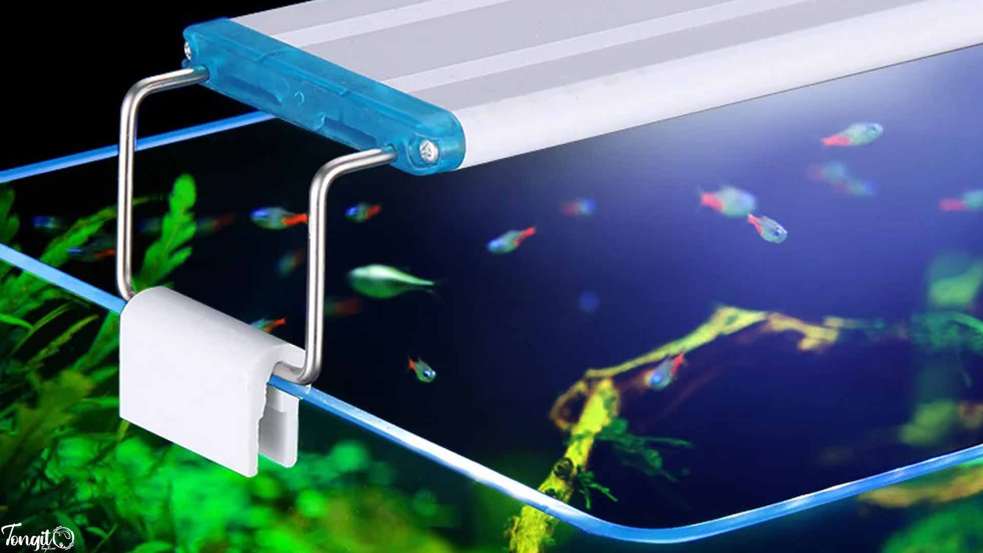 لامپ ال‌‏ای‌‏دی آکواریوم